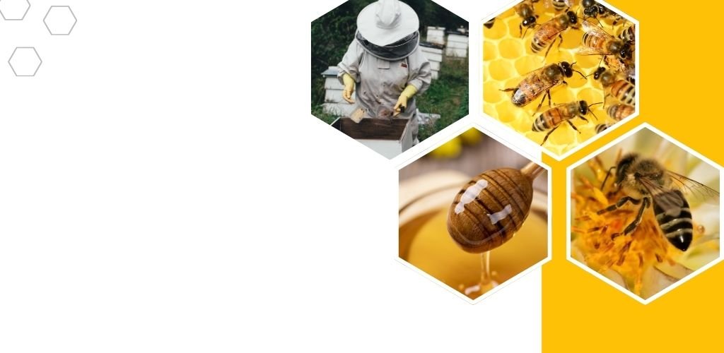 Tüm Premiks Gruplarında %10 İndirim