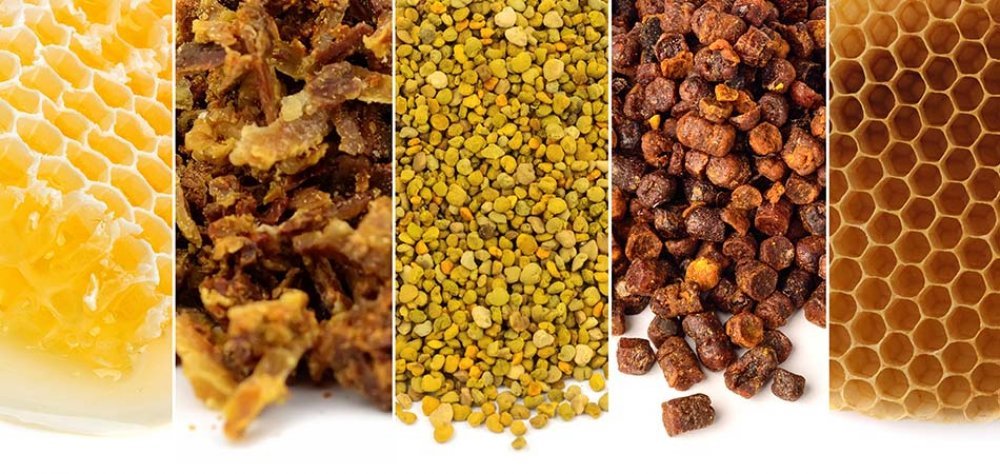 Arı Sağlığı ve Beslenme Ürünleri