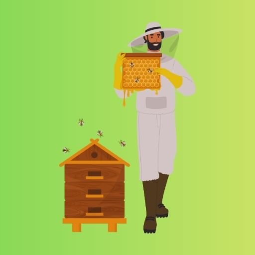 Kovan ve Kovan Ekipmanları