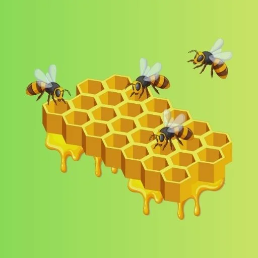 Güneş Enerjisi ve Çit Sistemleri