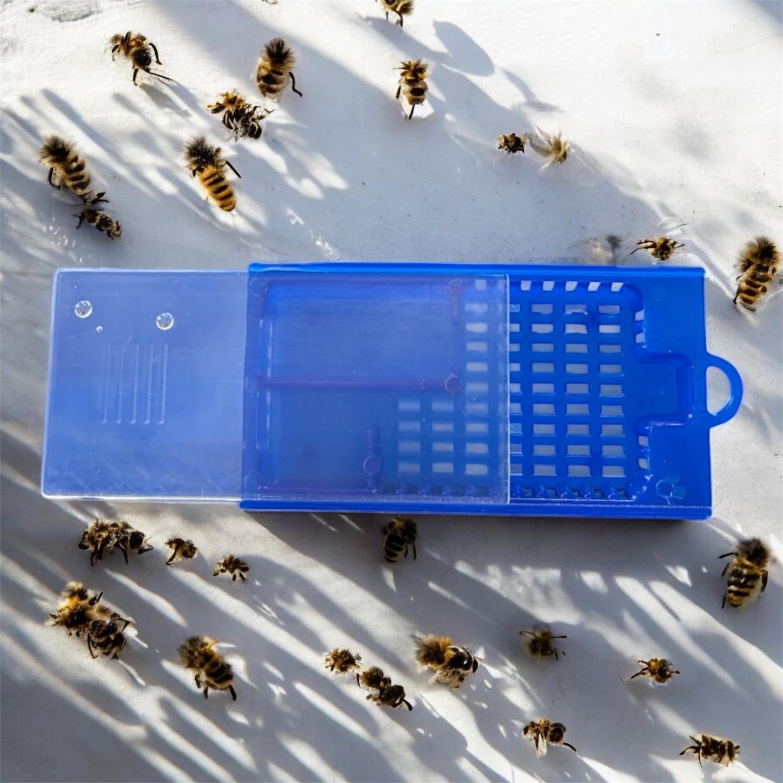 Ana Arı Kafesi Geniş Model Kızaklı