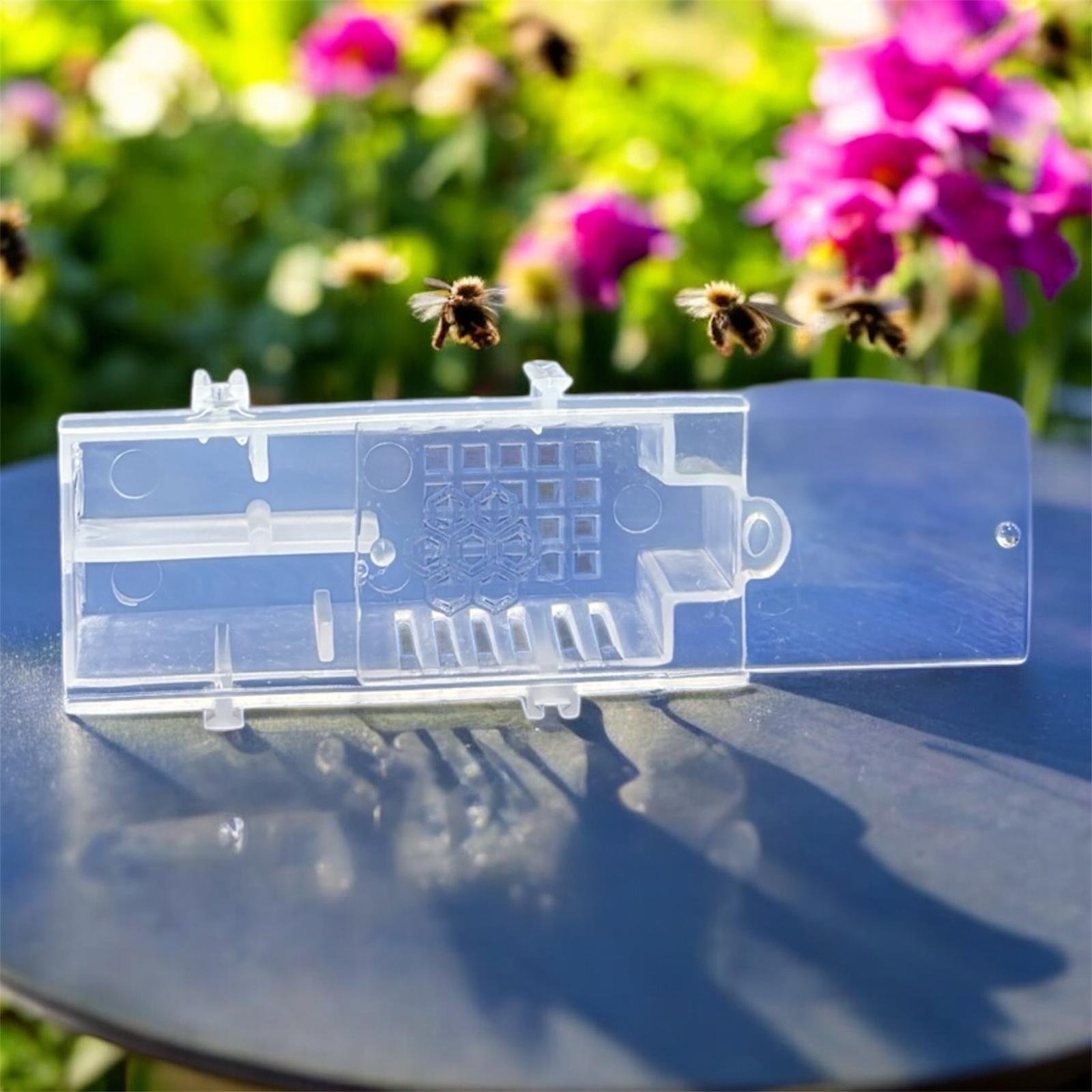 Ana Arı Kafesi Kırlangıç