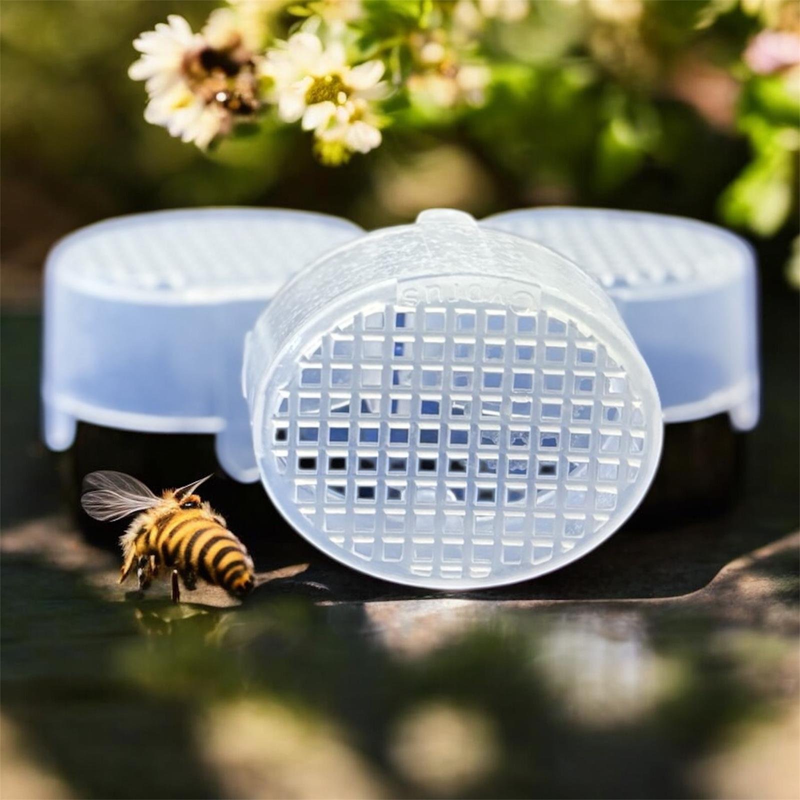 Ana Arı Memesi Hapsetme