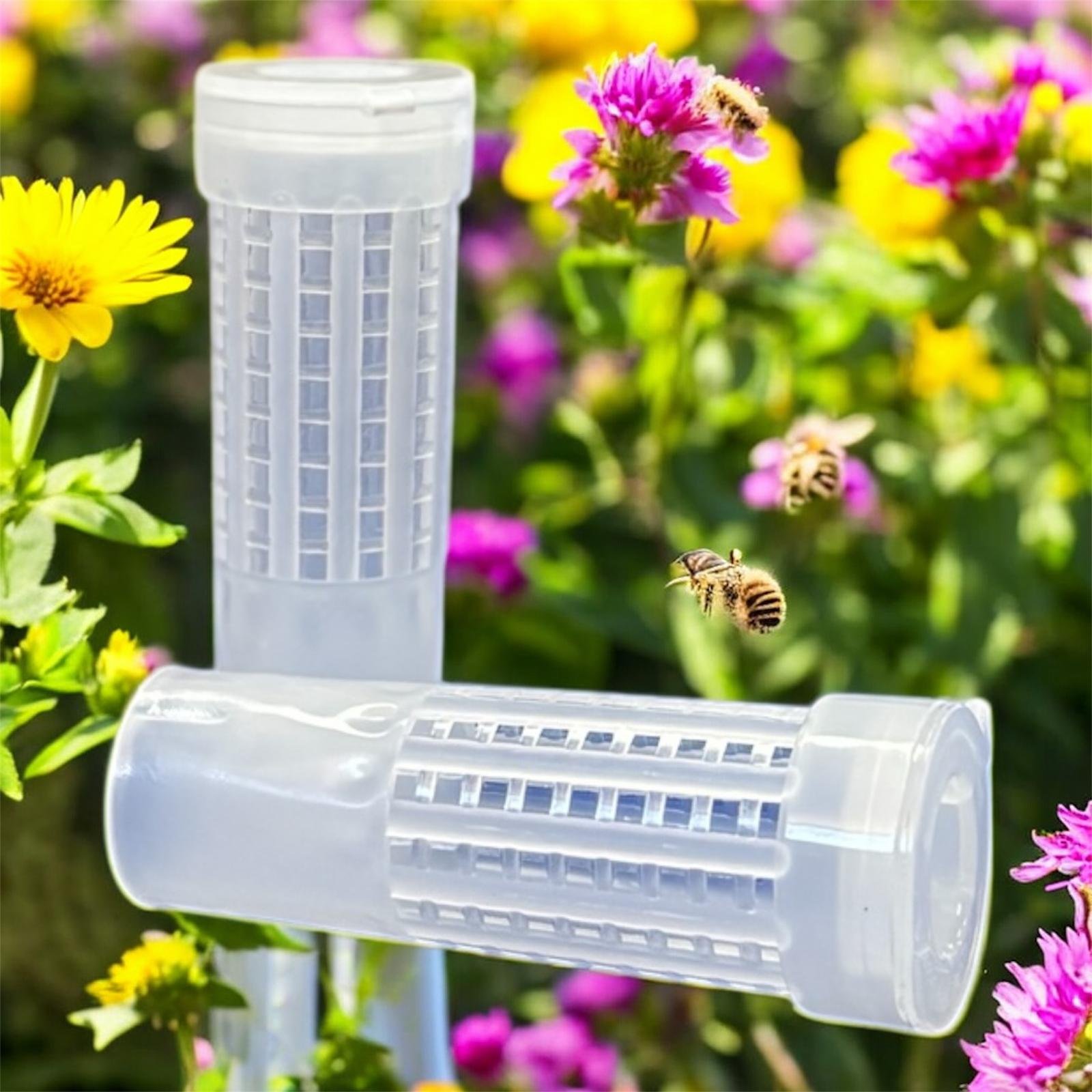 Ana Arı Yüksük Tüpü