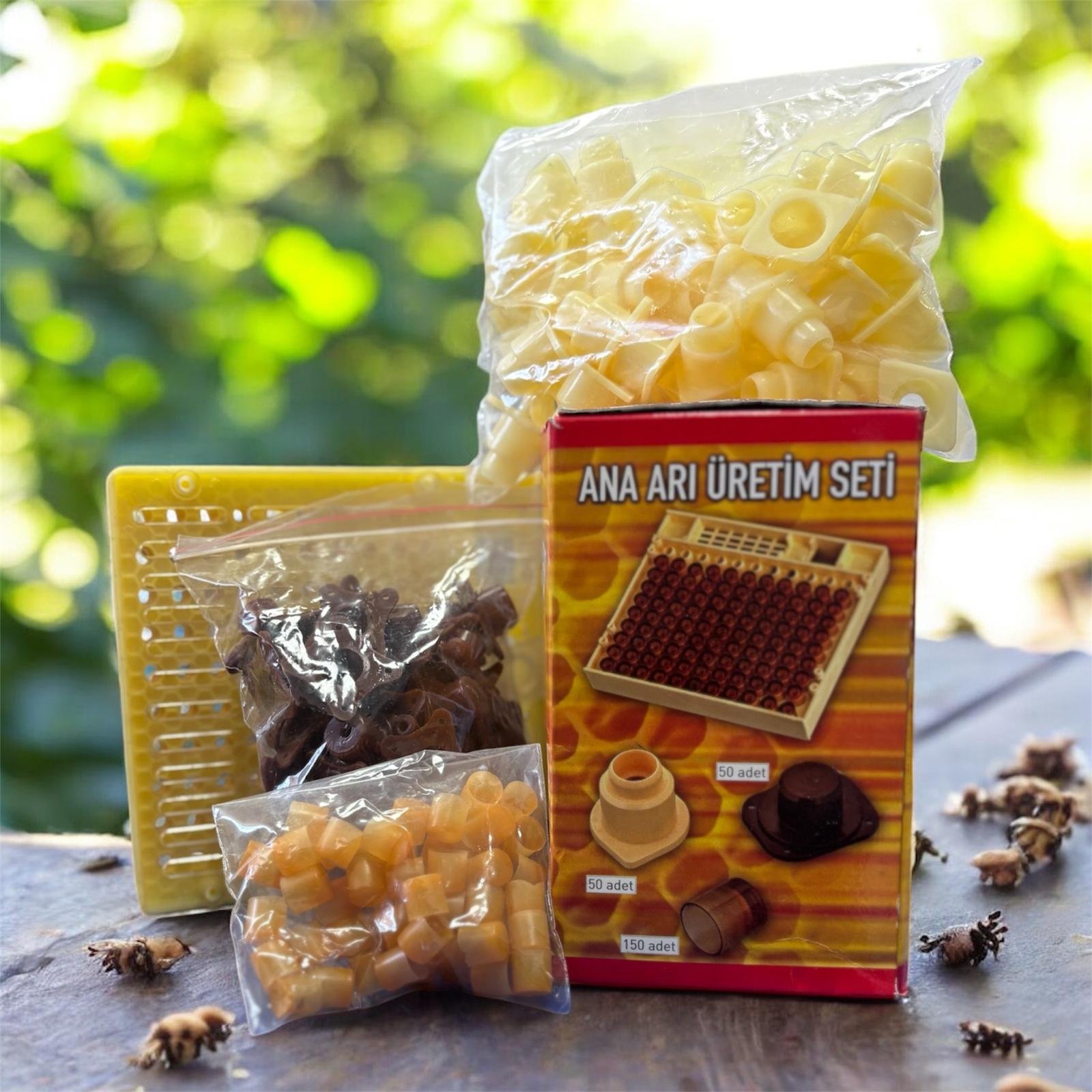 Ana Arı Üretim Seti