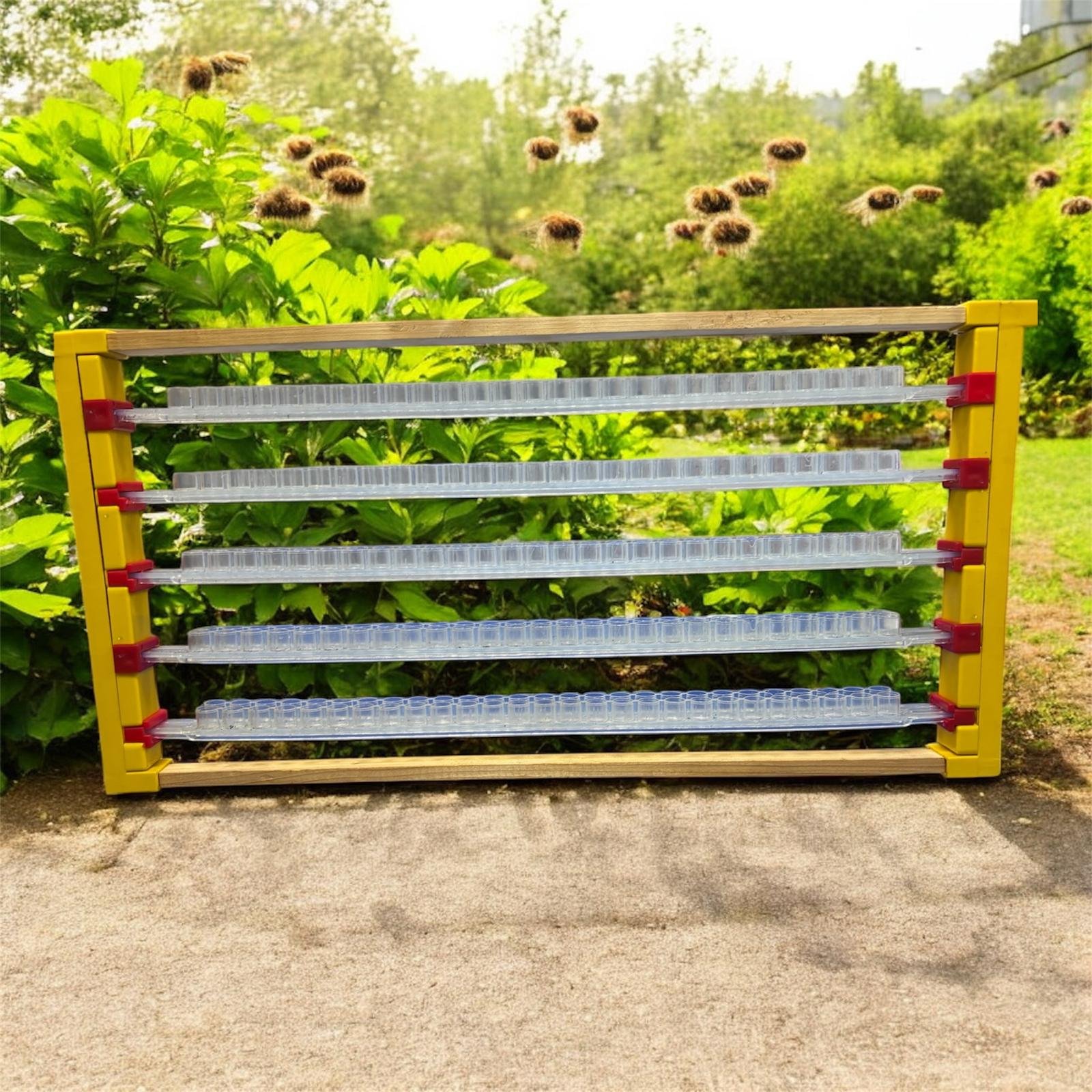 Arı Sütü Alma Seti