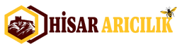 Hisar Arıcılık